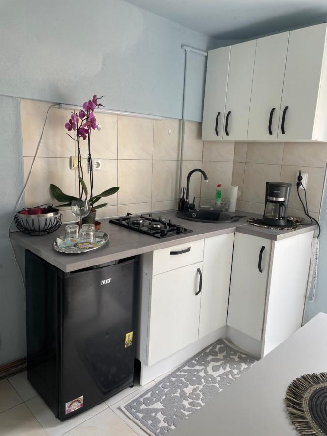 Apartmán Garsoniera La Casa Temešvár Exteriér fotografie